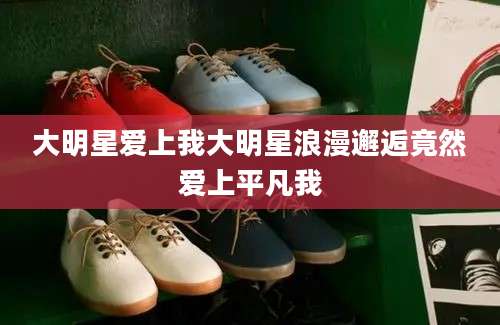 大明星爱上我大明星浪漫邂逅竟然爱上平凡我