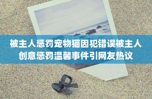 被主人惩罚宠物猫因犯错误被主人创意惩罚温馨事件引网友热议