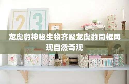 龙虎豹神秘生物齐聚龙虎豹同框再现自然奇观