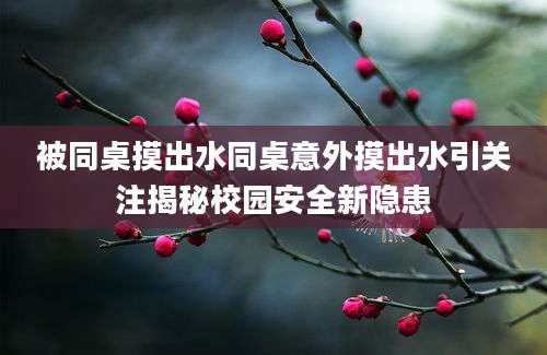 被同桌摸出水同桌意外摸出水引关注揭秘校园安全新隐患
