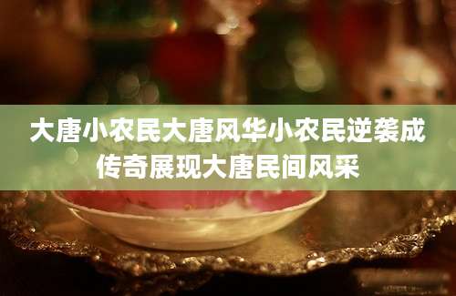 大唐小农民大唐风华小农民逆袭成传奇展现大唐民间风采