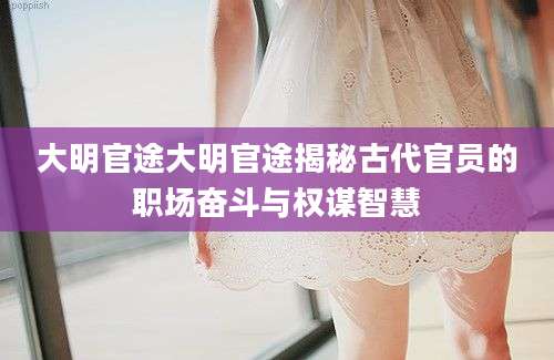 大明官途大明官途揭秘古代官员的职场奋斗与权谋智慧