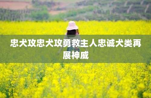 忠犬攻忠犬攻勇救主人忠诚犬类再展神威
