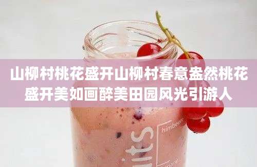 山柳村桃花盛开山柳村春意盎然桃花盛开美如画醉美田园风光引游人