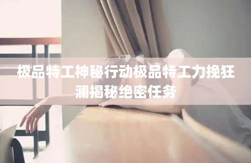 极品特工神秘行动极品特工力挽狂澜揭秘绝密任务