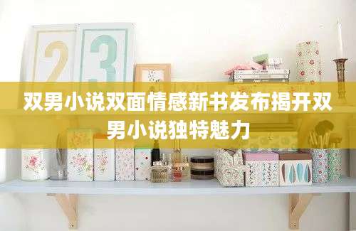 双男小说双面情感新书发布揭开双男小说独特魅力