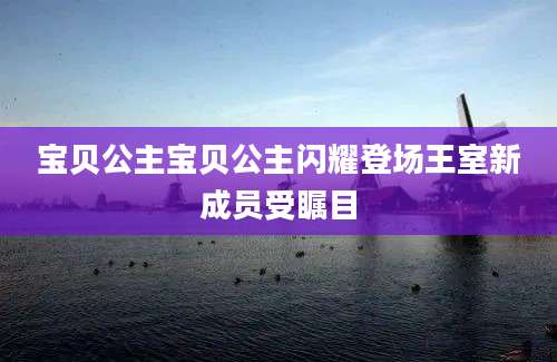宝贝公主宝贝公主闪耀登场王室新成员受瞩目