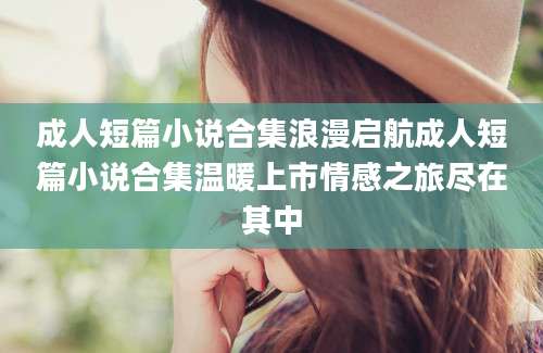 成人短篇小说合集浪漫启航成人短篇小说合集温暖上市情感之旅尽在其中