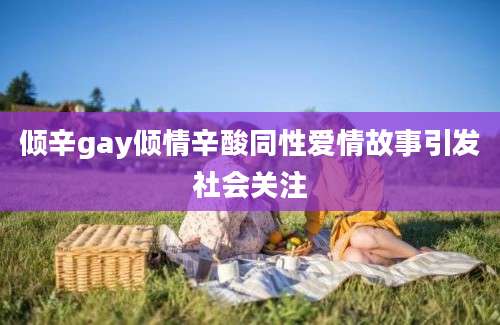 倾辛gay倾情辛酸同性爱情故事引发社会关注