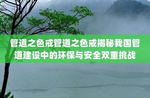 管道之色戒管道之色戒揭秘我国管道建设中的环保与安全双重挑战