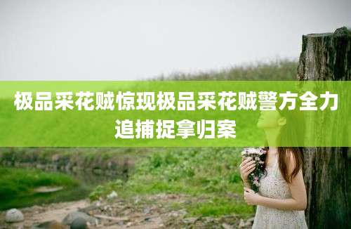 极品采花贼惊现极品采花贼警方全力追捕捉拿归案