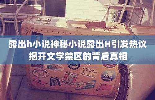 露出h小说神秘小说露出H引发热议揭开文学禁区的背后真相