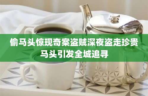 偷马头惊现奇案盗贼深夜盗走珍贵马头引发全城追寻