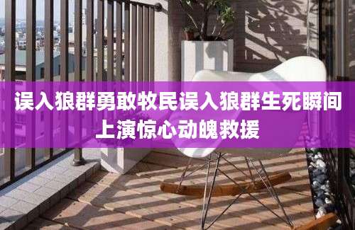 误入狼群勇敢牧民误入狼群生死瞬间上演惊心动魄救援