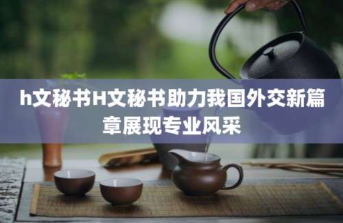 h文秘书H文秘书助力我国外交新篇章展现专业风采