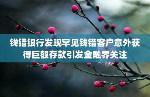 钱错银行发现罕见钱错客户意外获得巨额存款引发金融界关注