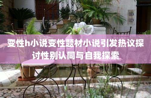 变性h小说变性题材小说引发热议探讨性别认同与自我探索
