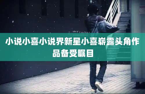 小说小喜小说界新星小喜崭露头角作品备受瞩目
