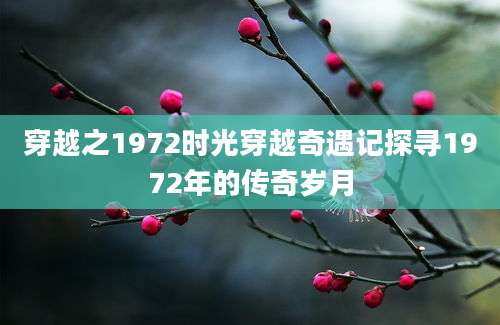 穿越之1972时光穿越奇遇记探寻1972年的传奇岁月