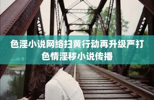 色淫小说网络扫黄行动再升级严打色情淫秽小说传播