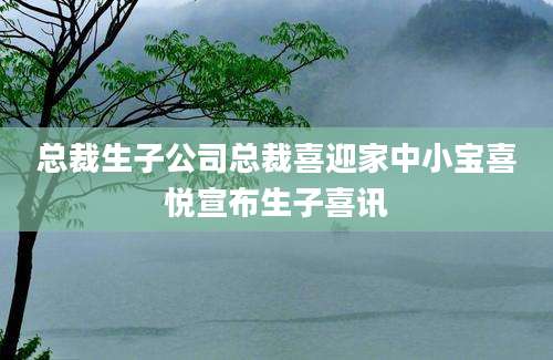 总裁生子公司总裁喜迎家中小宝喜悦宣布生子喜讯