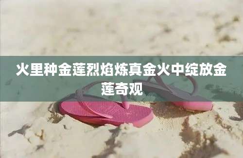 火里种金莲烈焰炼真金火中绽放金莲奇观