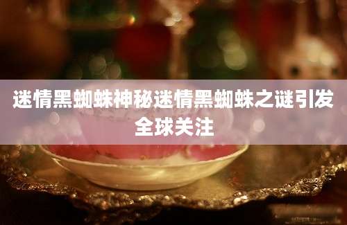迷情黑蜘蛛神秘迷情黑蜘蛛之谜引发全球关注