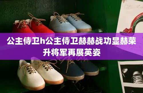 公主侍卫h公主侍卫赫赫战功显赫荣升将军再展英姿