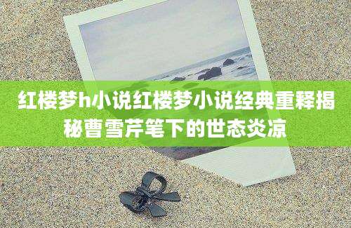 红楼梦h小说红楼梦小说经典重释揭秘曹雪芹笔下的世态炎凉