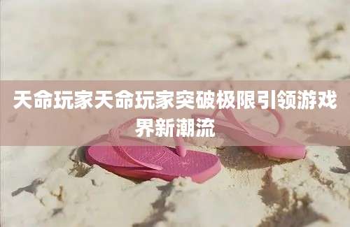 天命玩家天命玩家突破极限引领游戏界新潮流