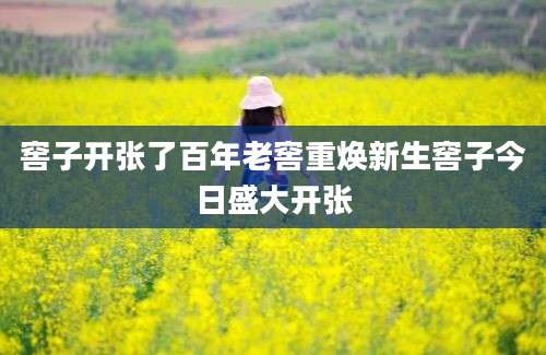 窖子开张了百年老窖重焕新生窖子今日盛大开张