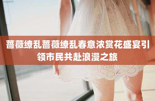 蔷薇缭乱蔷薇缭乱春意浓赏花盛宴引领市民共赴浪漫之旅
