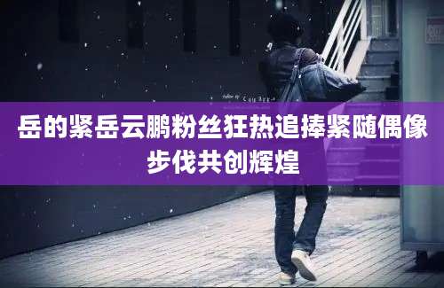 岳的紧岳云鹏粉丝狂热追捧紧随偶像步伐共创辉煌