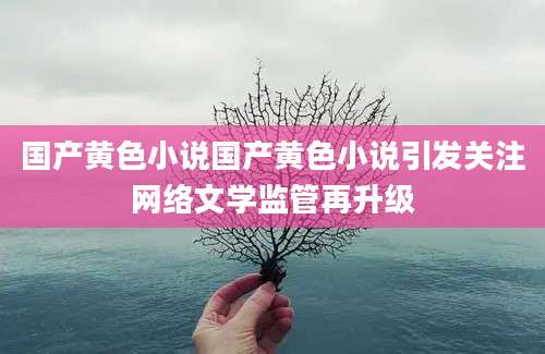 国产黄色小说国产黄色小说引发关注网络文学监管再升级