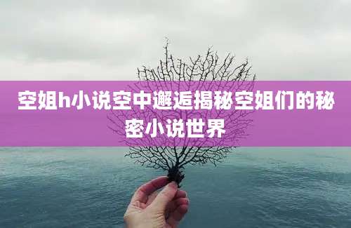 空姐h小说空中邂逅揭秘空姐们的秘密小说世界