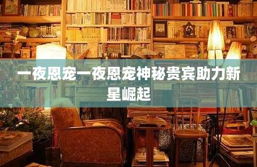 一夜恩宠一夜恩宠神秘贵宾助力新星崛起