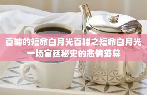 首辅的短命白月光首辅之短命白月光一场宫廷秘史的悲情落幕
