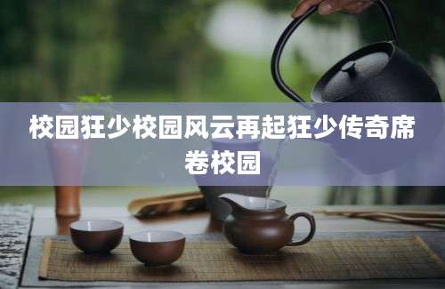 校园狂少校园风云再起狂少传奇席卷校园