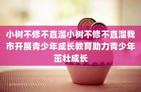小树不修不直溜小树不修不直溜我市开展青少年成长教育助力青少年茁壮成长