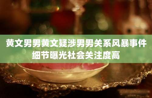 黄文男男黄文疑涉男男关系风暴事件细节曝光社会关注度高