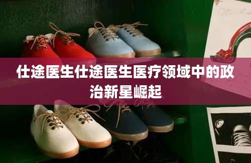 仕途医生仕途医生医疗领域中的政治新星崛起