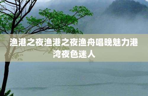 渔港之夜渔港之夜渔舟唱晚魅力港湾夜色迷人
