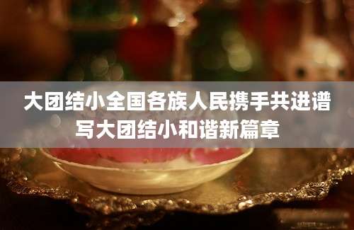 大团结小全国各族人民携手共进谱写大团结小和谐新篇章