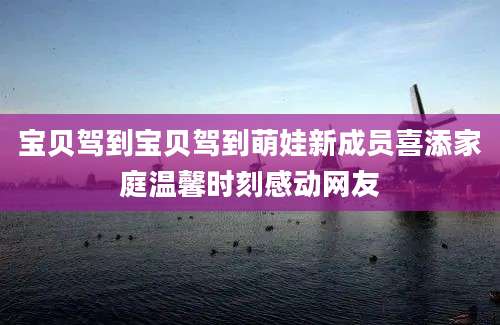 宝贝驾到宝贝驾到萌娃新成员喜添家庭温馨时刻感动网友