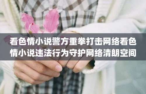 看色情小说警方重拳打击网络看色情小说违法行为守护网络清朗空间