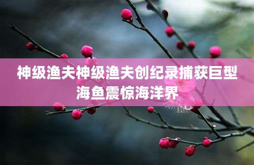 神级渔夫神级渔夫创纪录捕获巨型海鱼震惊海洋界