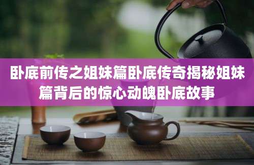卧底前传之姐妹篇卧底传奇揭秘姐妹篇背后的惊心动魄卧底故事