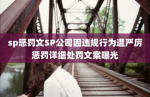 sp惩罚文SP公司因违规行为遭严厉惩罚详细处罚文案曝光