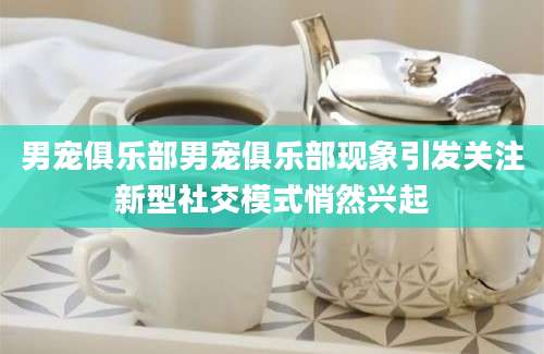 男宠俱乐部男宠俱乐部现象引发关注新型社交模式悄然兴起