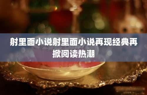 射里面小说射里面小说再现经典再掀阅读热潮